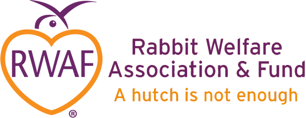 RWAF-logo-strap-trans